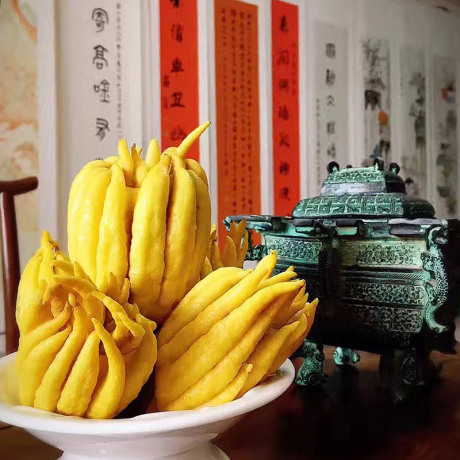 佛手果