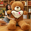 抱抱熊猫公仔女生泰迪熊，布娃娃可爱超大熊毛绒，玩具生日礼物送女友