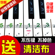 电子琴键盘贴54键61键88键透明五线谱，简谱键位贴防水钢琴贴纸
