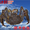 帝王蟹 阿拉斯加野生皇帝蟹速冻海鲜大螃蟹 4-7斤称重计价