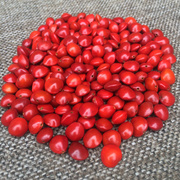 天然红豆菩提原籽相思豆海红豆，手串手链散珠论斤红豆珠子一颗打孔