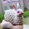 贝壳海螺工艺品小白兔生肖兔摆件礼物海星创意饰品纪念品