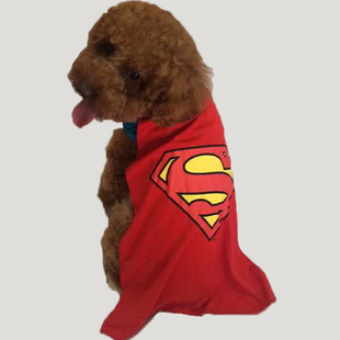 泰迪比熊宠物衣服狗狗斗篷，披风英雄系列，披风超人蝙蝠侠衣服