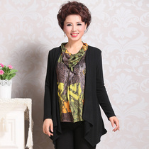 淘宝聚划算购物女士<em>服装</em>2013秋装新款妈妈装