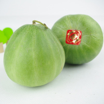 中国购物香瓜包邮新鲜水果新疆特产香瓜甜瓜伽