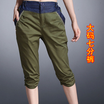 淘宝聚划算购物<em>大码</em>服装2013中老年外套女春