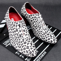 淘宝聚划算购物男士高跟鞋蛇纹新款韩版潮男时