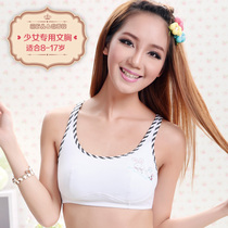 <em>淘宝</em>聚划算<em>购物胸衣</em>少女狄嘉伦 专柜正品斑马