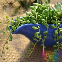 淘宝聚划算购物尖2013秋季新款平底鞋平跟 女