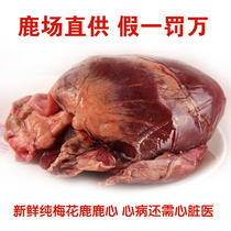 冠心病鹿心血软胶囊用于冠心病中药心肌缺血心