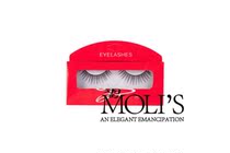 【Moli