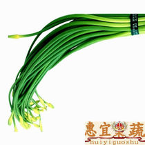 省钱导购蒜苗苍山大蒜 山东大蒜 大蒜头 超独头