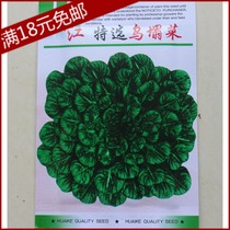 淘宝聚划算购物青菜四季小葱种子 家庭种植 阳