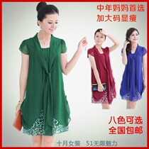 <em>淘宝</em>聚划算<em>购物中老年</em>连衣裙包邮2013<em>夏装</em>新