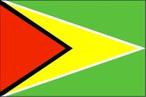 嘉兴国际快递联邦FedEx快递直发 圭亚那 Guyana 价格:10.00