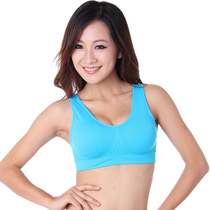 淘宝聚划算购物<em>胸衣</em>带胸垫胸衣无<em>钢圈文胸</em>薄款