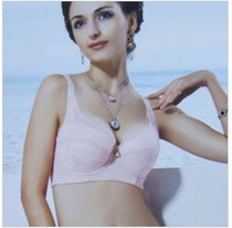 钱导购雅安莉娜2013新款雅安莉娜2138A杯厚