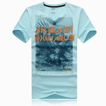 偶然的反义词是什么|偶然的反义词是什么.