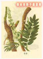 权!北京慈铭体检卡优化银发男性 含心彩TCD颈