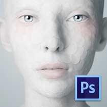 Adobe Photoshop CS6 CS5 for Mac Ps软件 中文完整版 教程+素材 价格:5.00