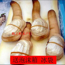 珠,50盒包邮五六年蚌鲜活淡水珍珠蚌大河蚌鱼