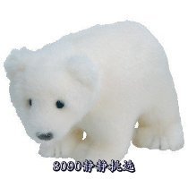 TY豆宝宝-ICEPACK北极熊互联网专用TY Beanie Baby-ICEPACK the 价格:260.00