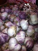 省钱导购蒜苗苍山大蒜 山东大蒜 大蒜头 超独头