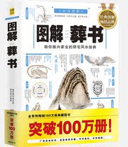 随笔,…【正版包邮】 图解葬书:助你振兴<em>家业</em>的