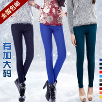 淘宝聚划算购物<em>紫色</em>妮茨维 2013秋冬热卖 高领