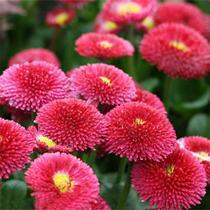 淘宝聚划算购物<em>春天</em>璀璨人生余非<em>抹布女也有春</em>