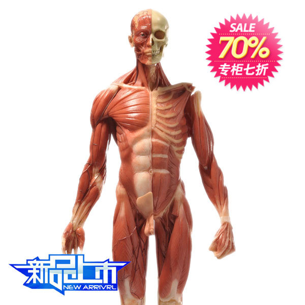 <em>肌肉人</em> 最新排行榜前10名_用户3627764484_