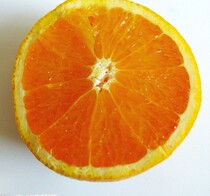卫生部新生儿败血症的诊断与治疗视频录像教程 价格:2.00