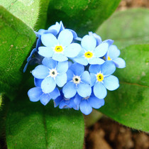 忽忽尔今秋。清新文艺感V领女秋款反<em>针</em>棉麻七