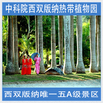 淘宝聚划算购物西双版纳云南移动20元话费昆