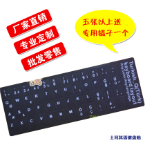 中国购物炫彩贴免裁剪 索尼CA SV S13 