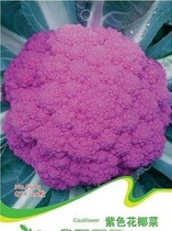 权!北京慈铭体检卡优化银发男性 含心彩TCD颈