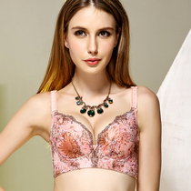 淘宝聚划算购物<em>高档胸罩</em>正品泰丽戈妮活磁保健