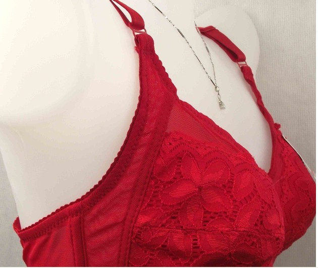 <em>红豆牌</em>无钢圈<em>文胸</em> 最新排行榜前10名_用户zxc