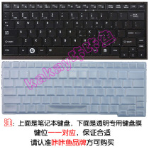 东芝 M807,M808,M810 笔记本专用凹凸透明带键位键盘保护贴膜/套 价格:10.00