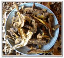 0g 云南土特产 干货正宗云南老君山中药材 精制