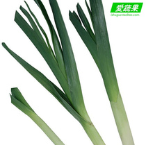 省钱导购蒜苗苍山大蒜 山东大蒜 大蒜头 超独头