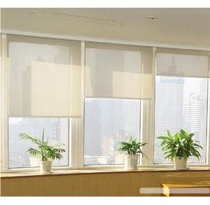 单层纯色半遮光卷帘 单色半透明办公室窗帘 家用窗帘