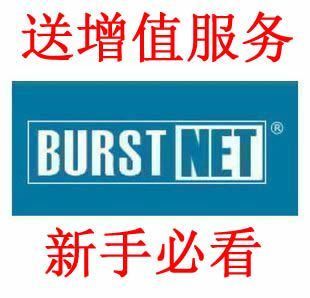 美国 BurstNet(burst) Win VPS #4，2.5G内存，150GB硬盘 月付