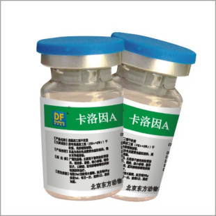 卡洛因
