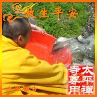 太平寺 三月初三 清明节 放生 功德无量