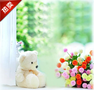 迷你小背景 儿童摄影背景 拍照背景 百天宝宝拍