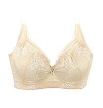 【<em>戴之蒂</em> 调整型】<em>最新</em>最全<em>戴之蒂</em> 调整型 产品