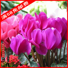 【仙鹤来花】最新最全仙鹤来花 产品参考信息