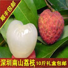 【广东特产水果】最新最全广东特产水果 产品