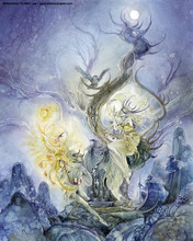 【花影塔罗牌】最新最全花影塔罗牌 产品参考信息_一淘搜索